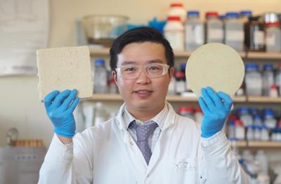 Des scientifiques créent des emballages biodégradables pour remplacer la styromousse