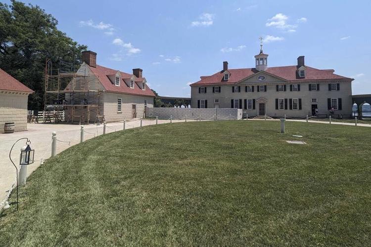No lie: Perfectly preserved centuries-old cherries unearthed at George Washington's Mount Vernon