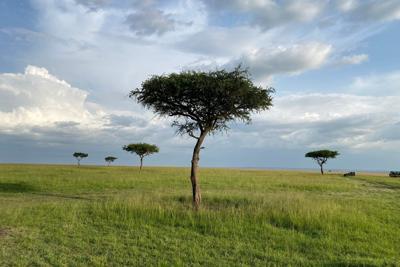 Kenya's environment court to consider a claim that a lux safari camp was harming wildebeests routes