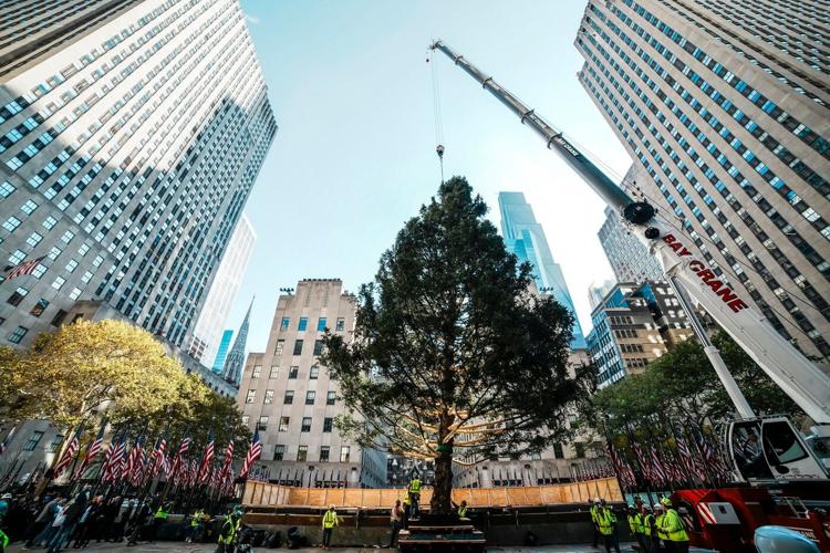 Rockefeller Center Christmas tree arrives in Manhattan, kicking off New York's holiday season