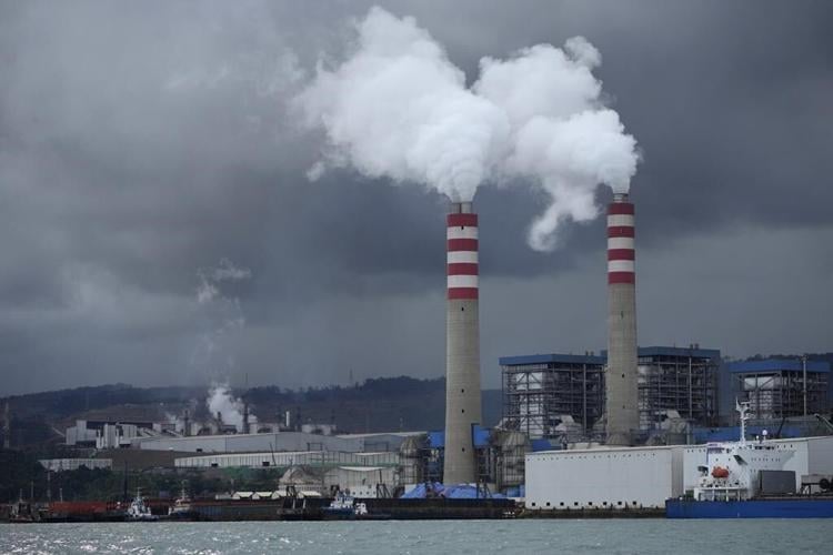 Indonesia's massive metals build-out is felling the forest for batteries