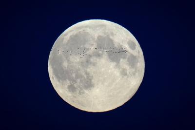 Here's a look at moon landing hits and misses