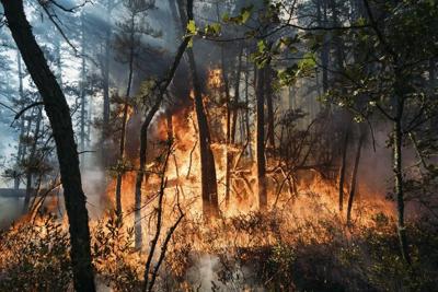 Sparked by fireworks, New Jersey forest fire is 90% contained, authorities say