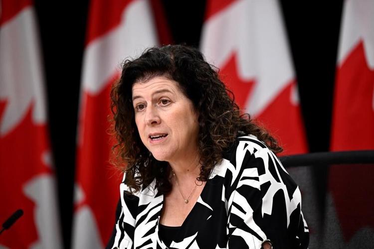 Auditor general calls for online application portal for refugees amid severe backlogs