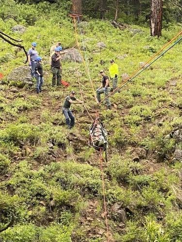 A dog helped his owner get rescued after a car crash in a remote, steep ravine in Oregon