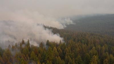 In the news today: Trump delays tariffs, B.C. wildfire update, Alberta data centres