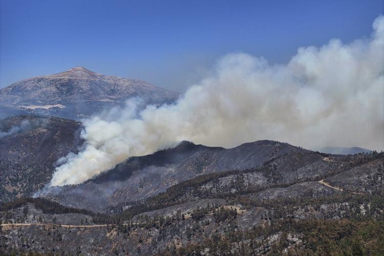 Syria's massive wildfires brought under control after days of intense battles