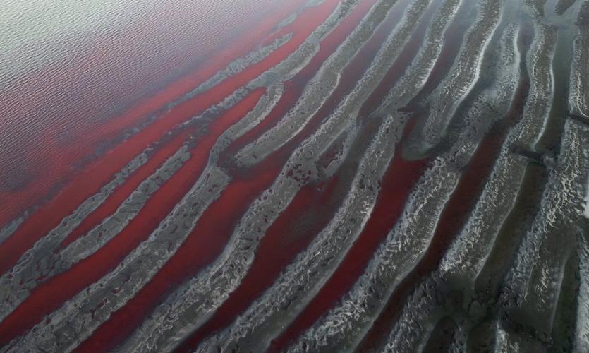 ‘It looks like a stream of blood.’ A river near Buenos Aires turns red, sparking fears of toxic leak
