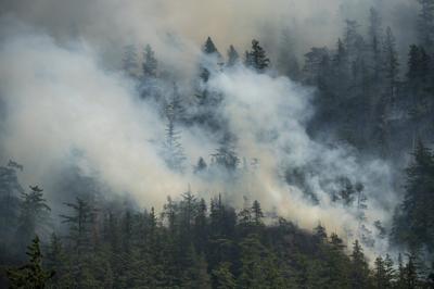 Wildfires show why CBC needs public safety mandate: researcher