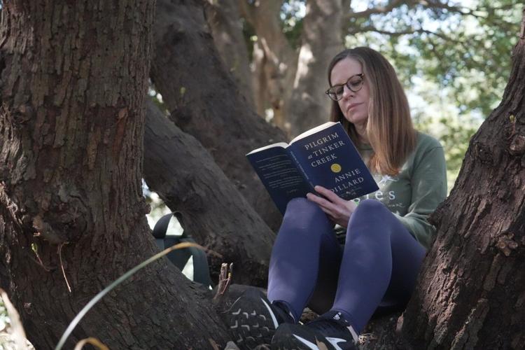 People 'bathe' in nature to get respite from chaotic news cycle