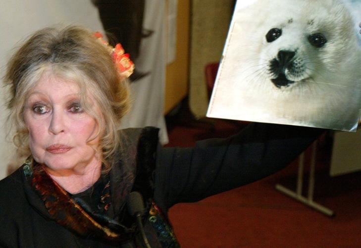 French actor Brigitte Bardot remembered in Canada for fighting seal hunt