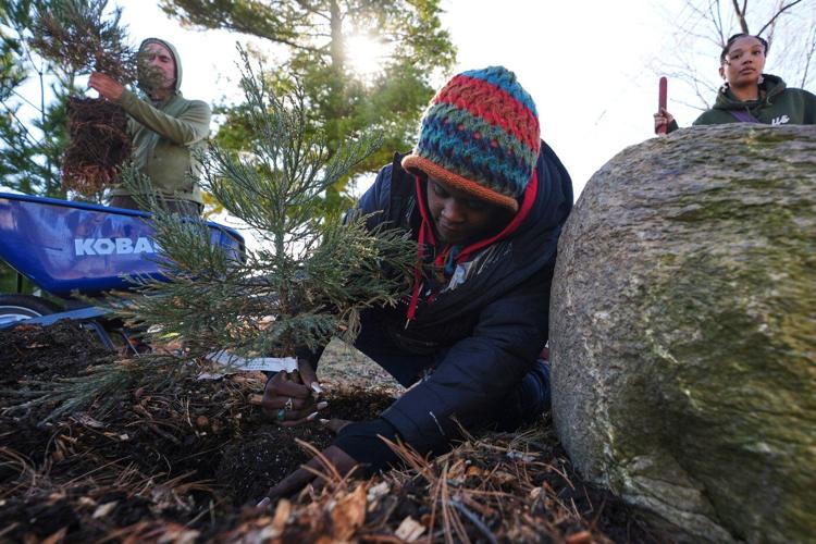A sequoia forest in Detroit? Plantings to improve air quality and mark Earth Day