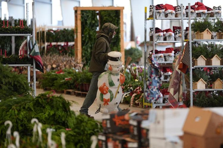 Christmas tree retailers find lots to like at a Pennsylvania wholesale auction