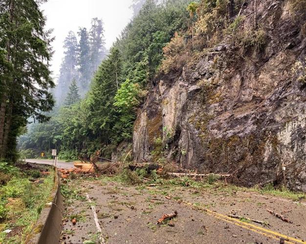 Key Vancouver Island highway cut by fire won't open for at least 10 days: minister