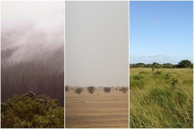 Early humans survived in a range of extreme environments before global migration, study says