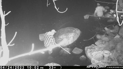 New Brunswick's fisheries minister demands immediate crackdown on baby eel poaching