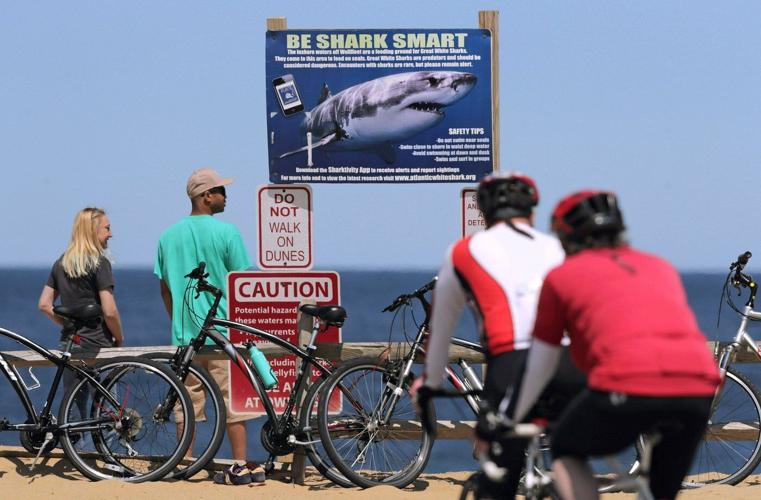 Shark attack on Alabama teen inspires the start of a national alert system