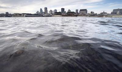 La Garde côtière canadienne enquête sur la marée noire survenue à Montréal