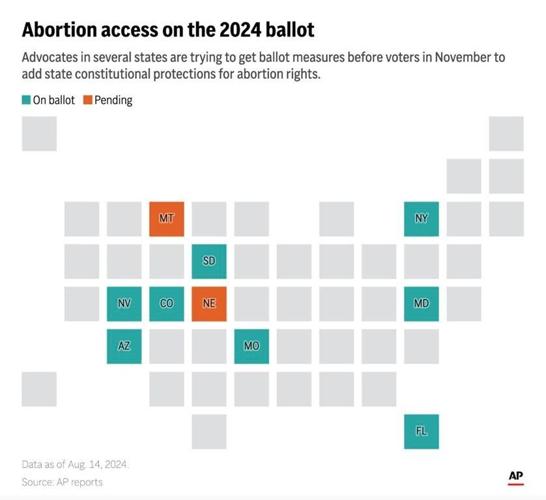 Ruling: Fetus can be referred to as 'unborn human being' in Arizona abortion measure voter pamphlet