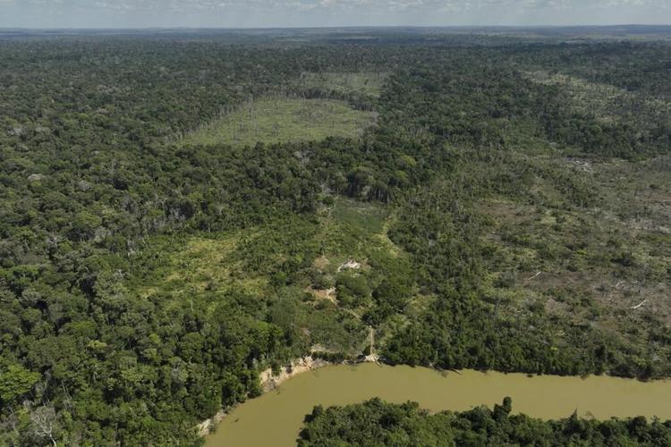 Takeaways from lawsuits accusing meat giant JBS, others of contributing to Amazon deforestation
