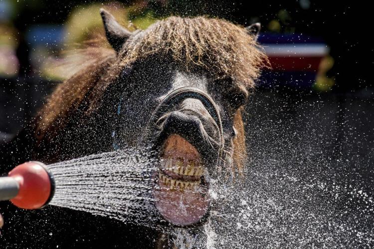 Photos show how extreme heat is affecting parts of Europe