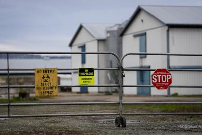 Health officials in Ontario's Peel Region suspect avian flu in wild bird deaths