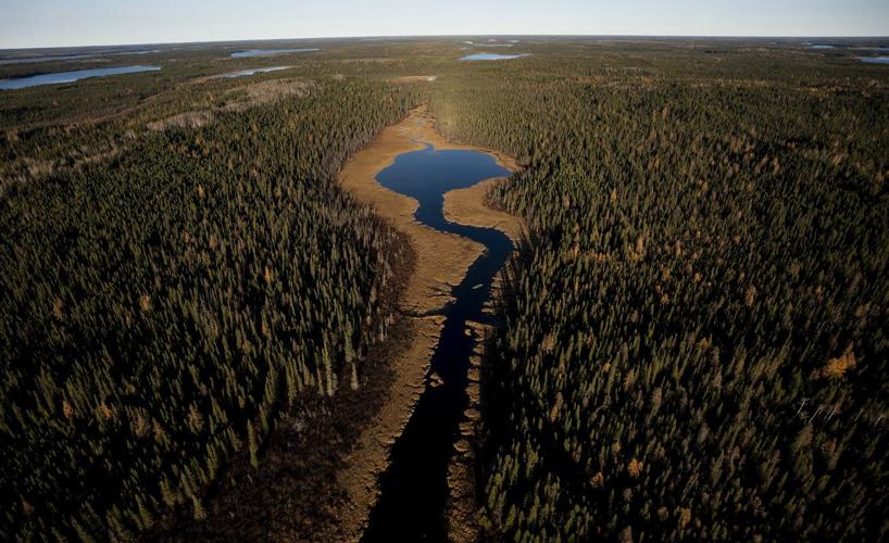 List of nominations announced by the National Newspaper Awards for 2025