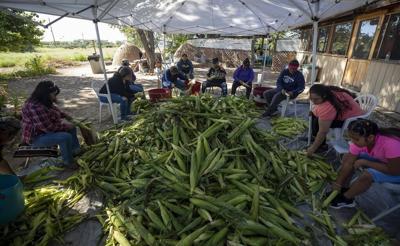 Tribe seeks to adapt as climate change alters ancestral home