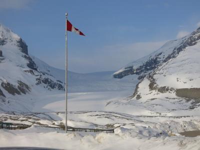 How many glaciers in Canada's Arctic can be saved from extinction?