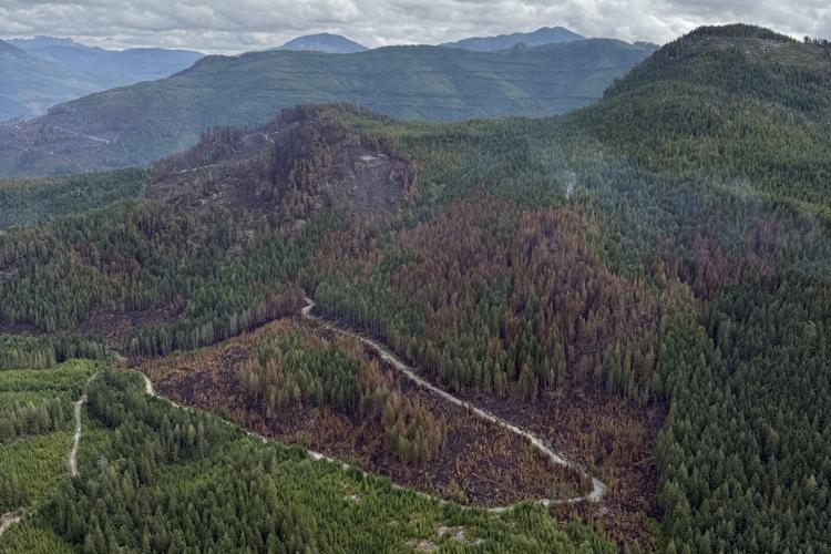 Crews guard against flare-up of Vancouver Island wildfire after rainfall