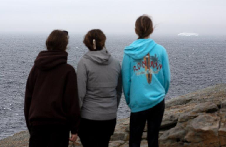 Parade of ghostly icebergs brings joy and wonder to Newfoundland and Labrador
