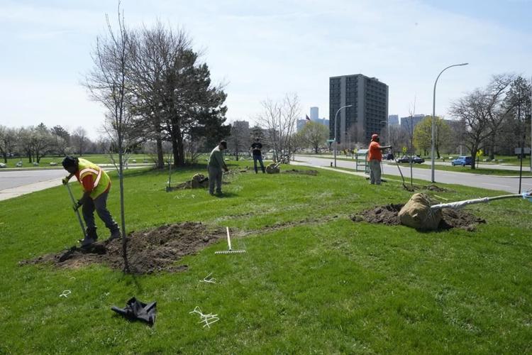 Historic investment in urban trees underway across the U.S.