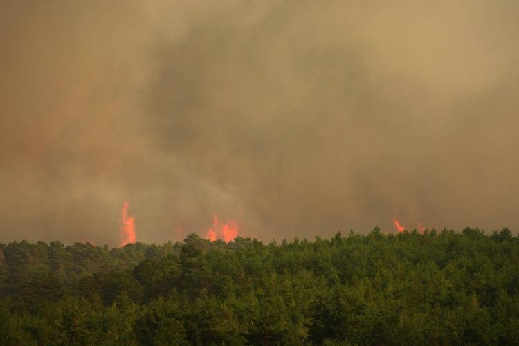 Firefighters battle one of Spain's biggest-ever wildfires during heat wave across the Mediterranean