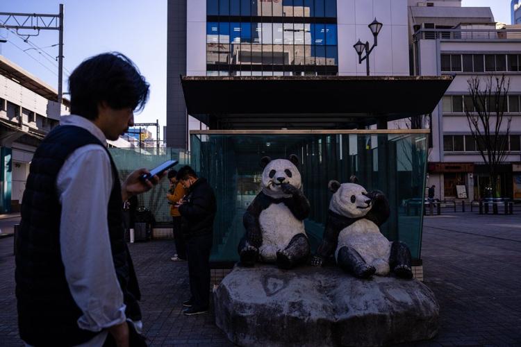 The last 2 pandas in Japan are leaving for China as ties are strained