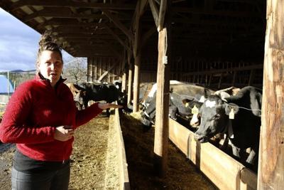 Organic livestock farmers, hit by rising prices, seek help
