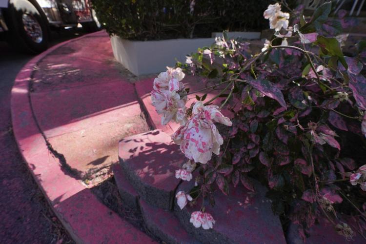 Strong winds forecast for Los Angeles threaten area's fight against fires