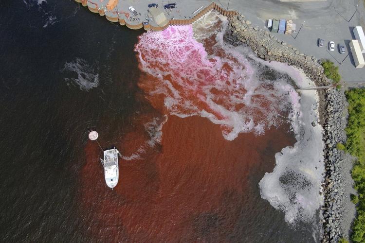 Ocean dumping – or a climate solution? A growing industry bets on the ocean to capture carbon