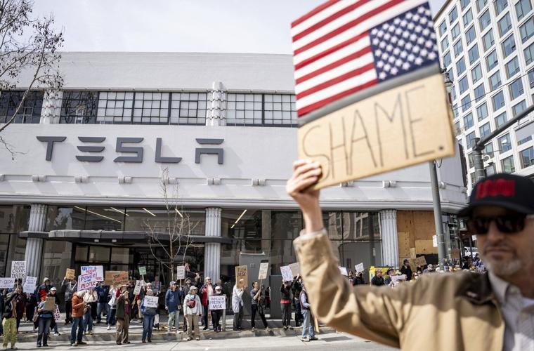 PHOTO COLLECTION: Elon Musk Protests