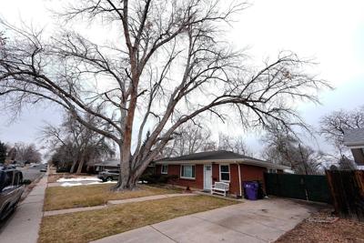 Funeral home owner who left corpse in hearse for a over a year pleads guilty