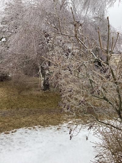 Hundreds of thousands still without power as ice storm hits parts of Ontario