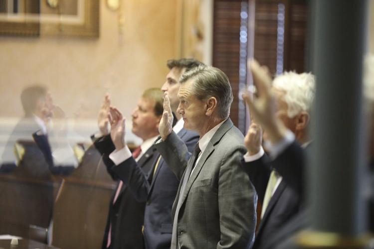 With 13 newcomers, South Carolina Senate may tackle tough issues