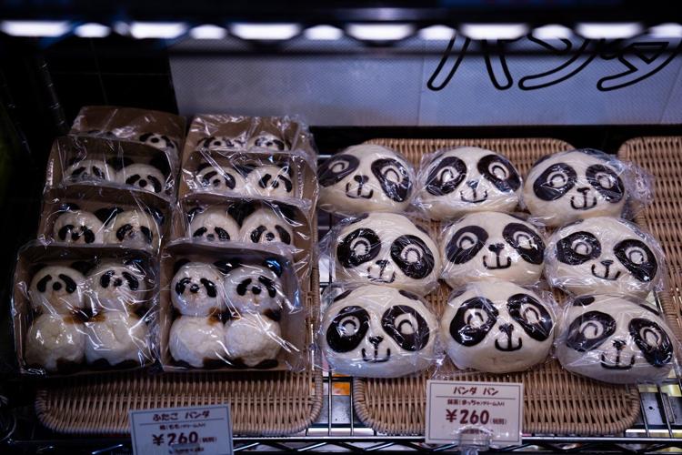 The last 2 pandas in Japan are leaving for China as ties are strained