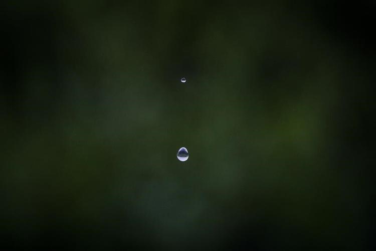 Their lagoons languishing, precious Spanish wetlands go dry