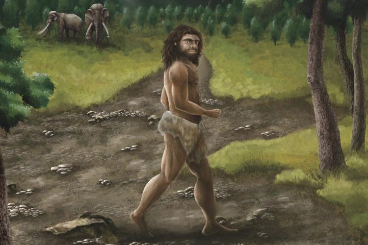 Ancient jawbone from Taiwan belongs to a mysterious group of human ancestors, scientists say