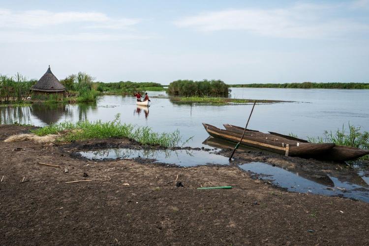 South Sudanese community fights to save land from relentless flooding worsened by climate change