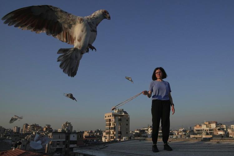 Photos of a Beirut woman's rooftop sanctuary for pigeons