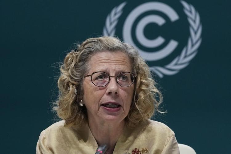Frustration grows at fossil fuel influence and structure of UN climate talks. Some call for reform