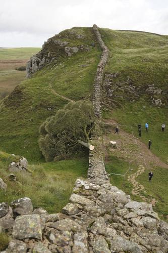 Deliberations begin in UK trial of men accused of felling Sycamore Gap tree