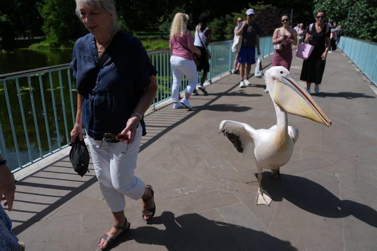 The top photos of the day by AP photojournalists