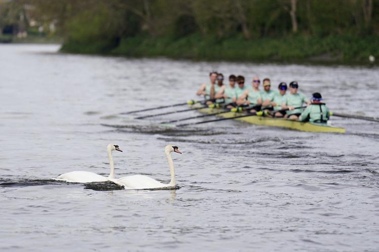 E.coli fears, selection spat and Cambridge dominance: What to know about the storied Boat Race